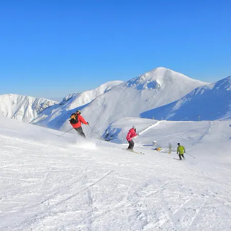 Chalet De Luxe 4* Au Mont-dore - Wifi Inclus